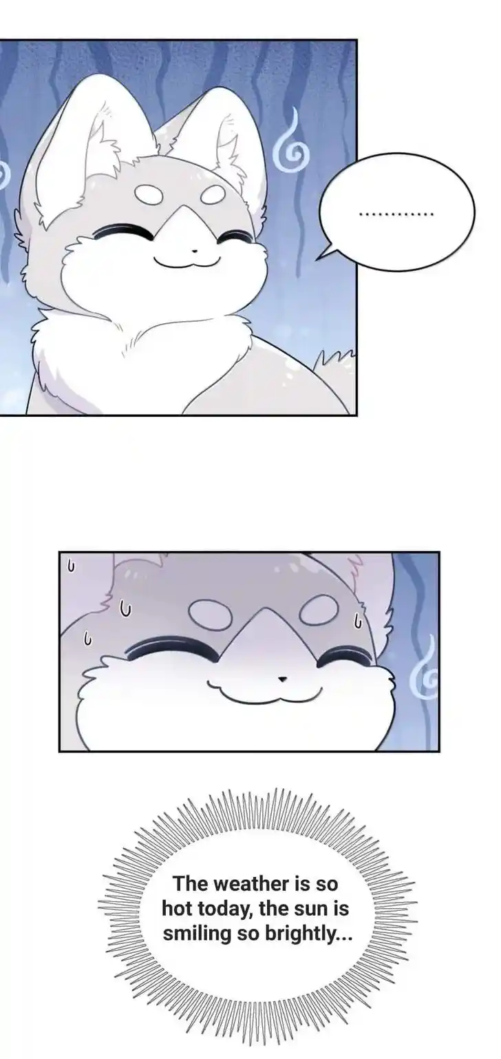 My Food Seems to Be Very Cute Ch.201