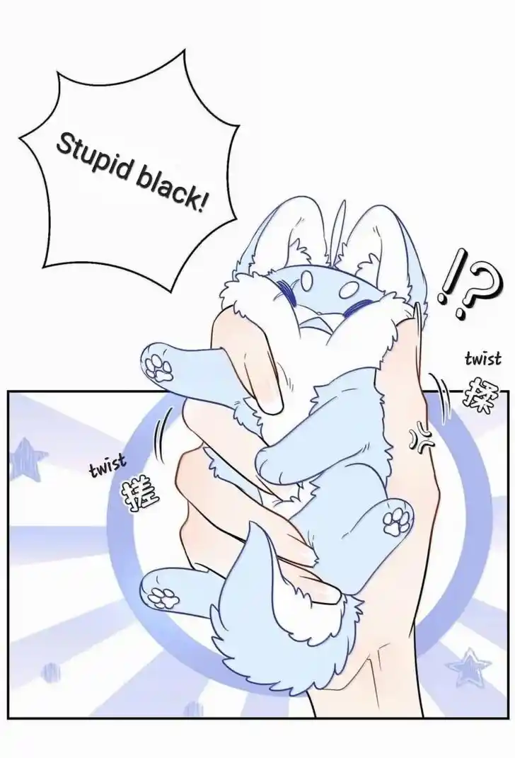 My Food Seems to Be Very Cute Ch.202