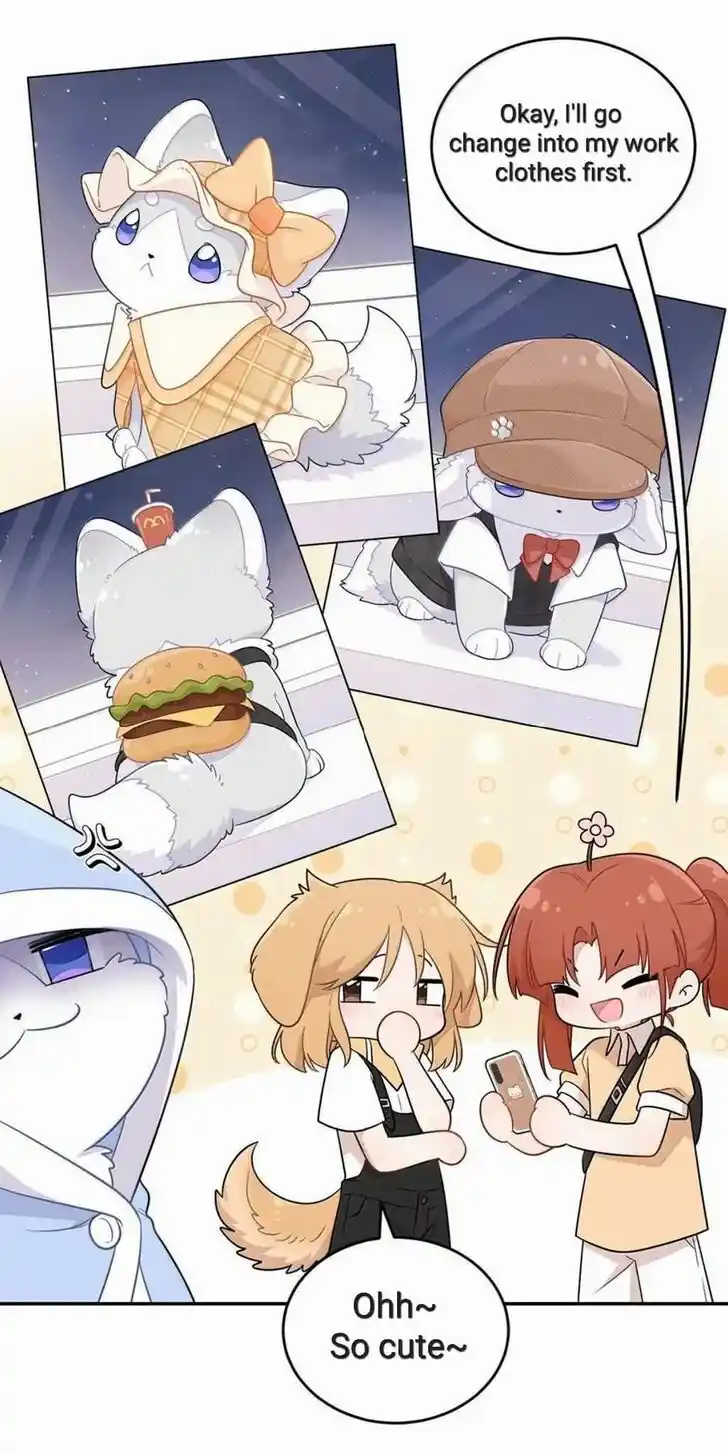 My Food Seems to Be Very Cute Ch.202