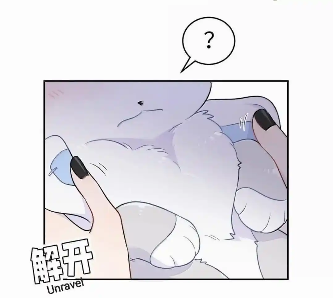 My Food Seems to Be Very Cute Ch.202