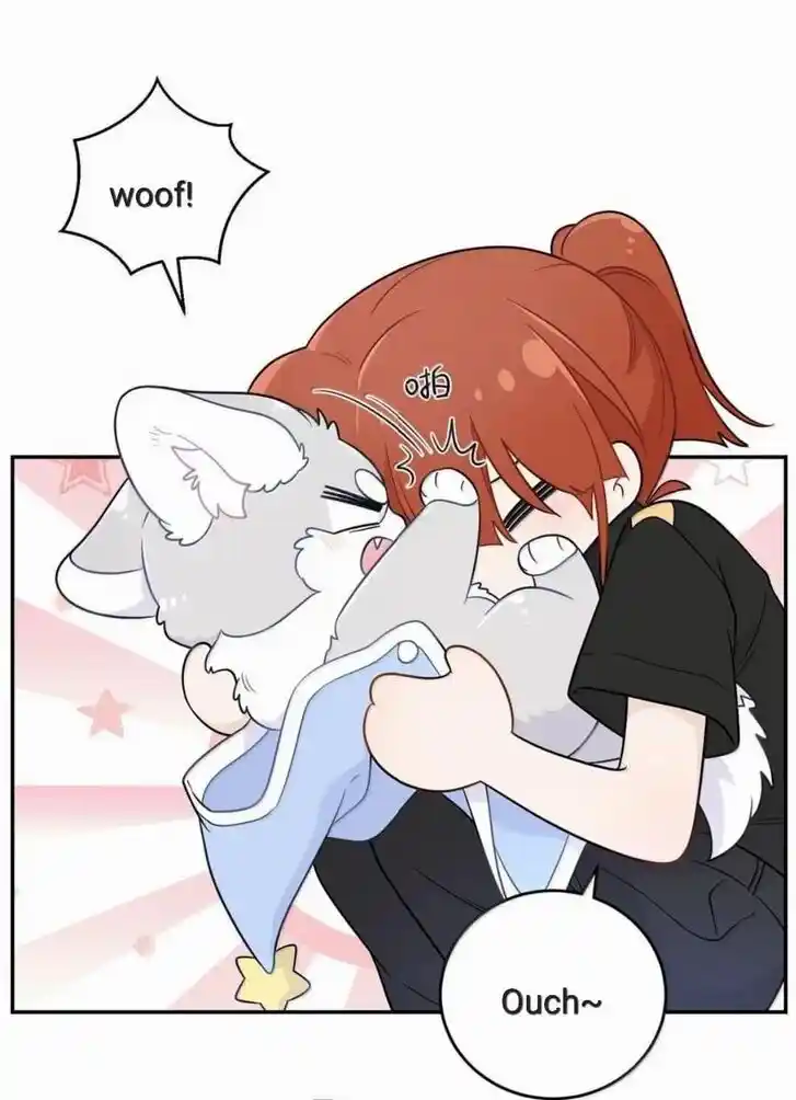 My Food Seems to Be Very Cute Ch.202