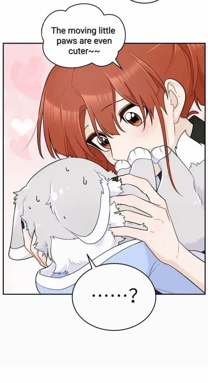 My Food Seems to Be Very Cute Ch.202