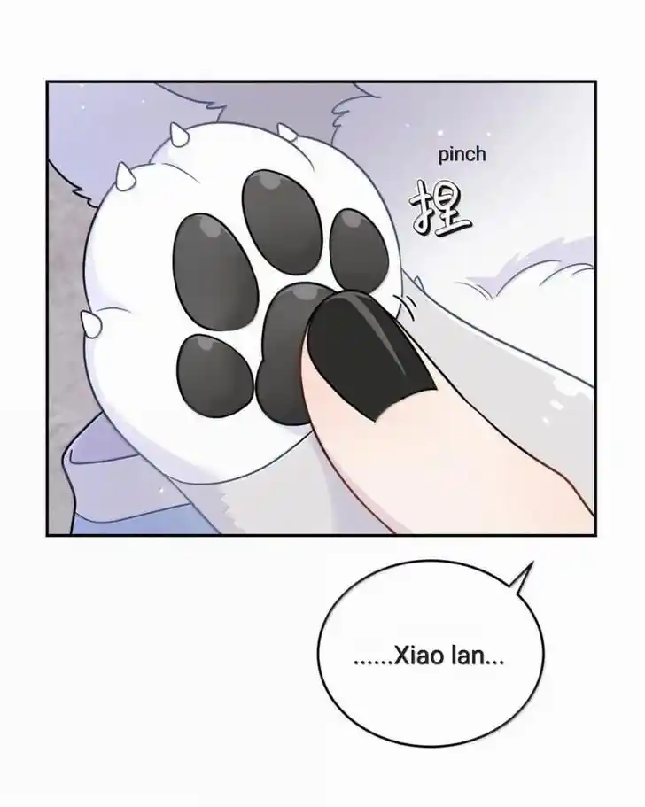 My Food Seems to Be Very Cute Ch.202