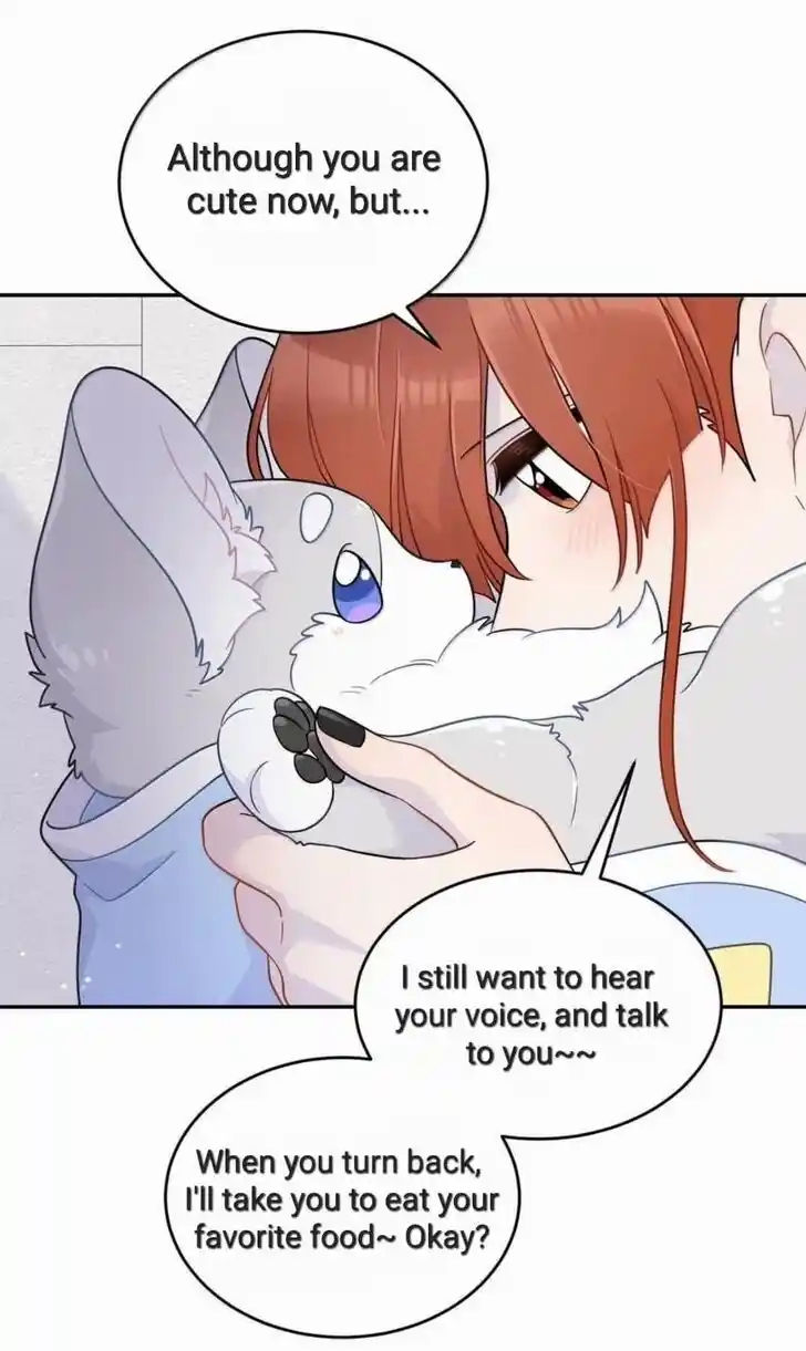 My Food Seems to Be Very Cute Ch.202