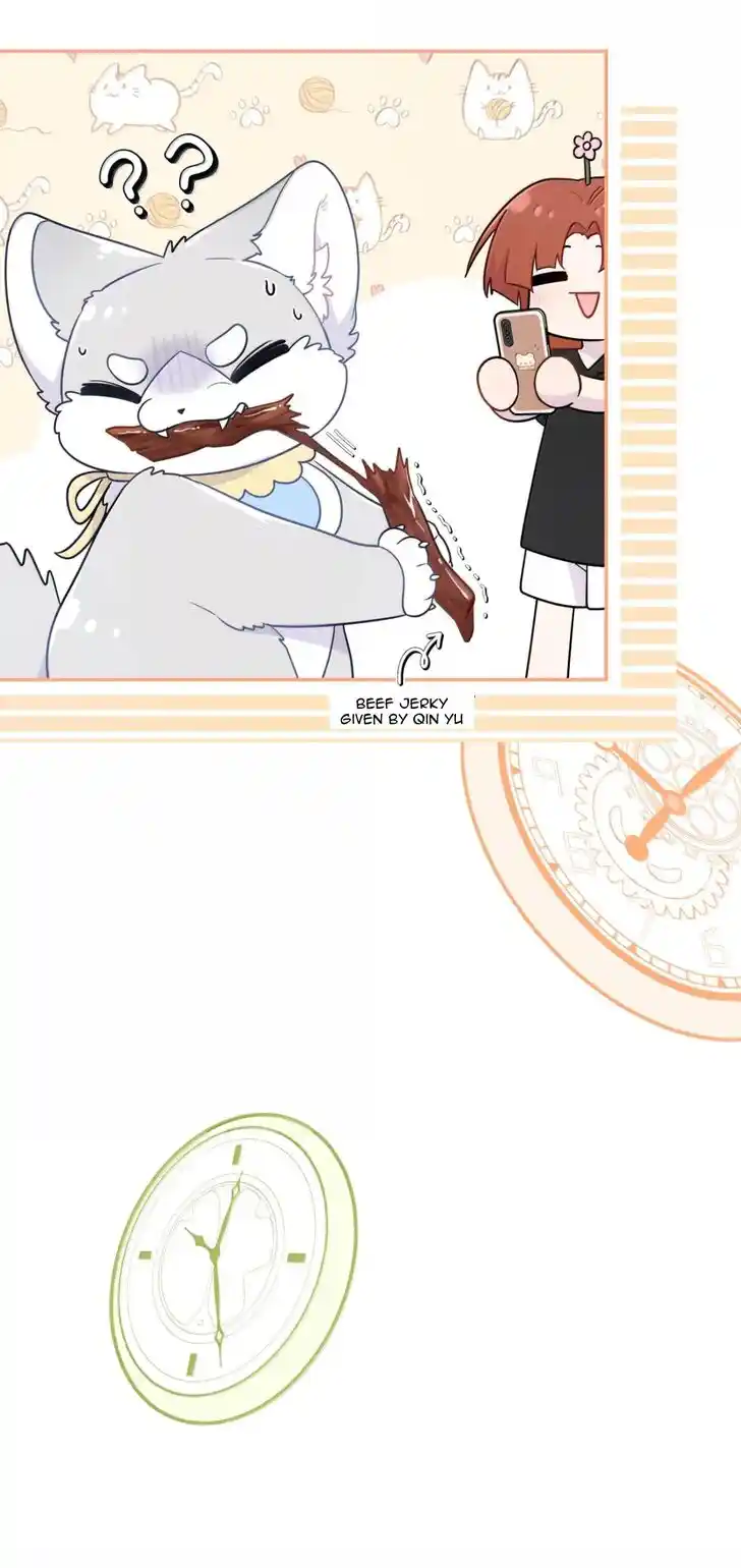 My Food Seems to Be Very Cute Ch.203