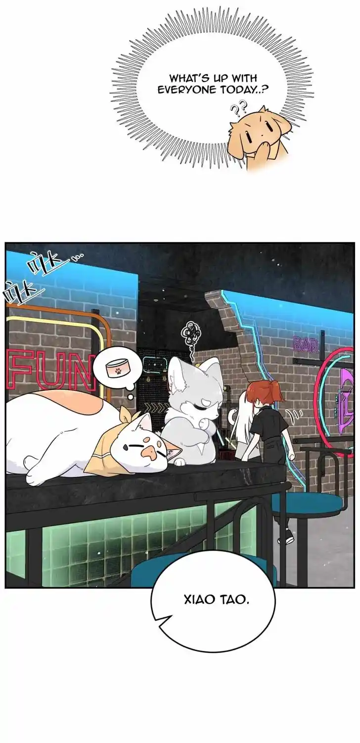 My Food Seems to Be Very Cute Ch.204