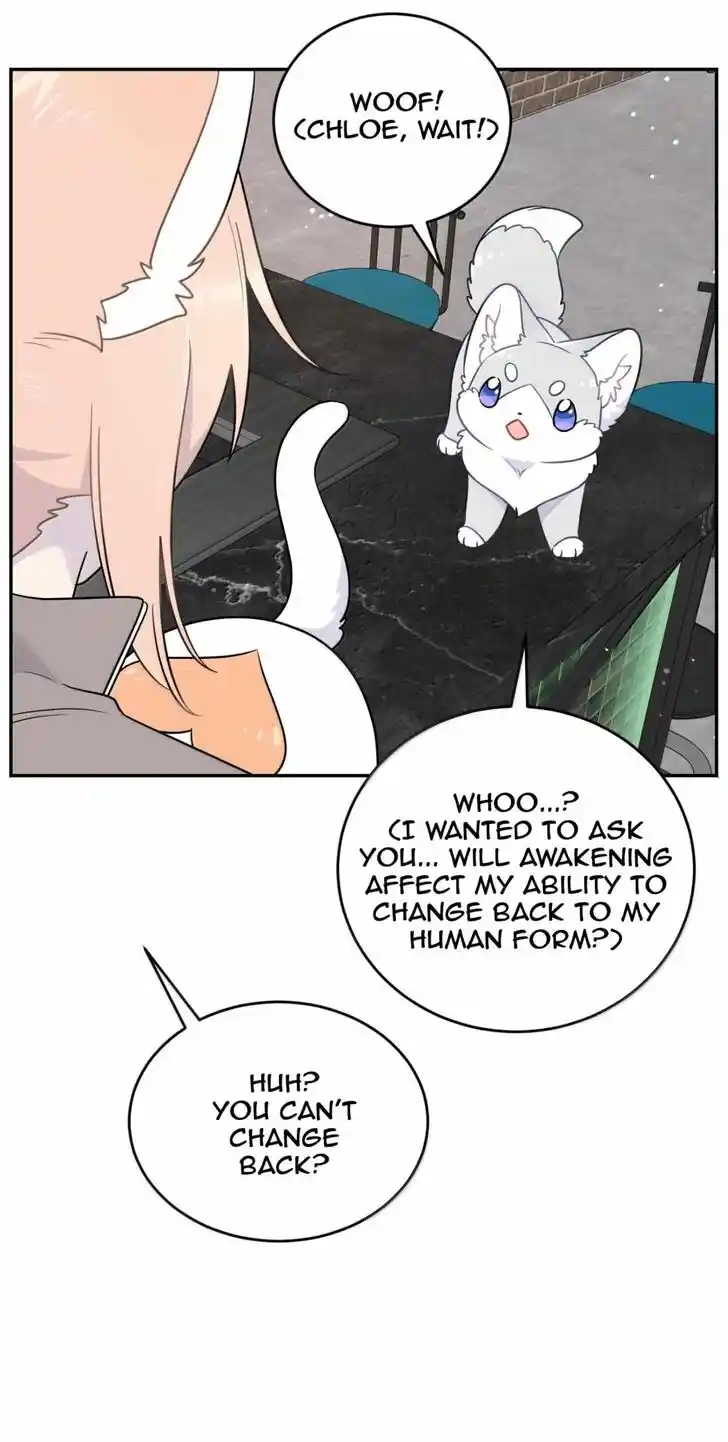 My Food Seems to Be Very Cute Ch.204