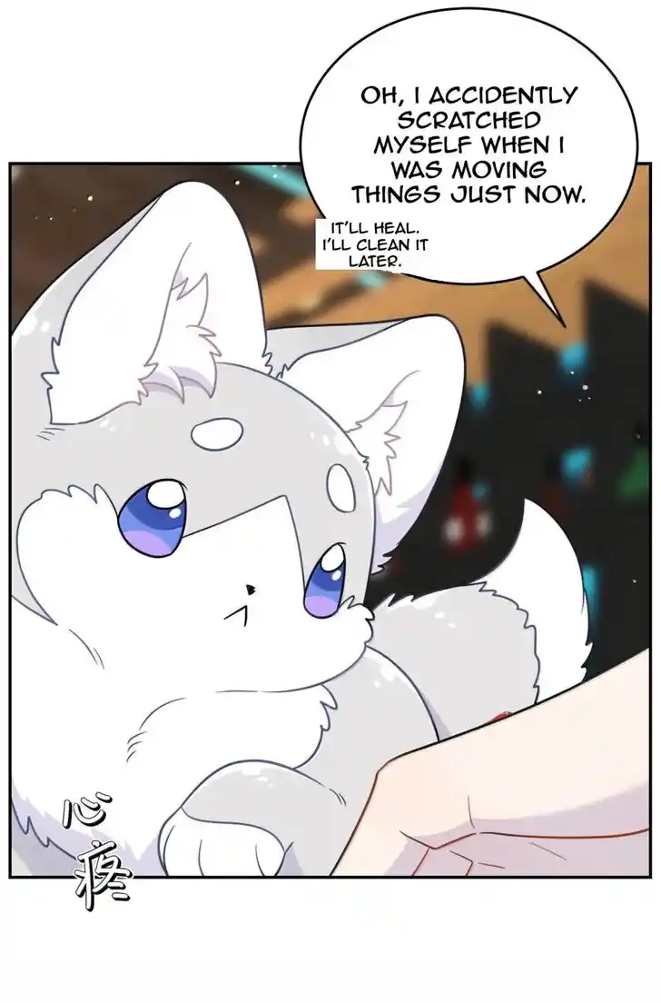 My Food Seems to Be Very Cute Ch.204