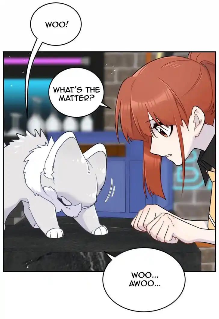 My Food Seems to Be Very Cute Ch.204