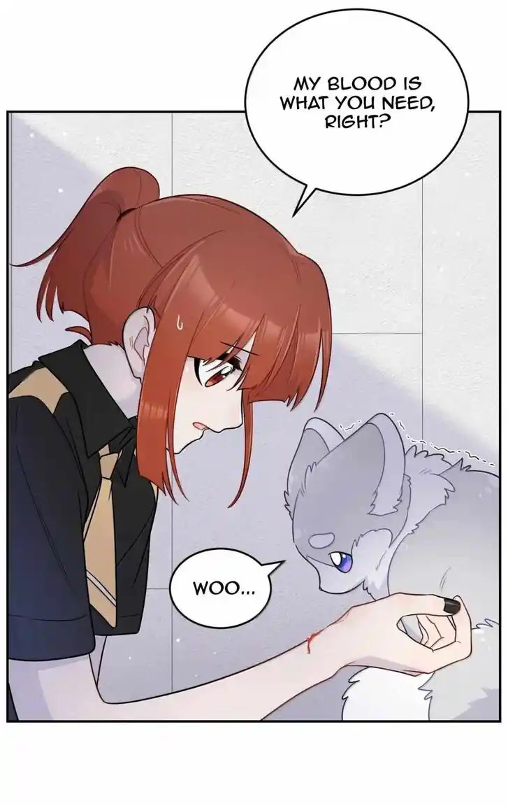 My Food Seems to Be Very Cute Ch.204