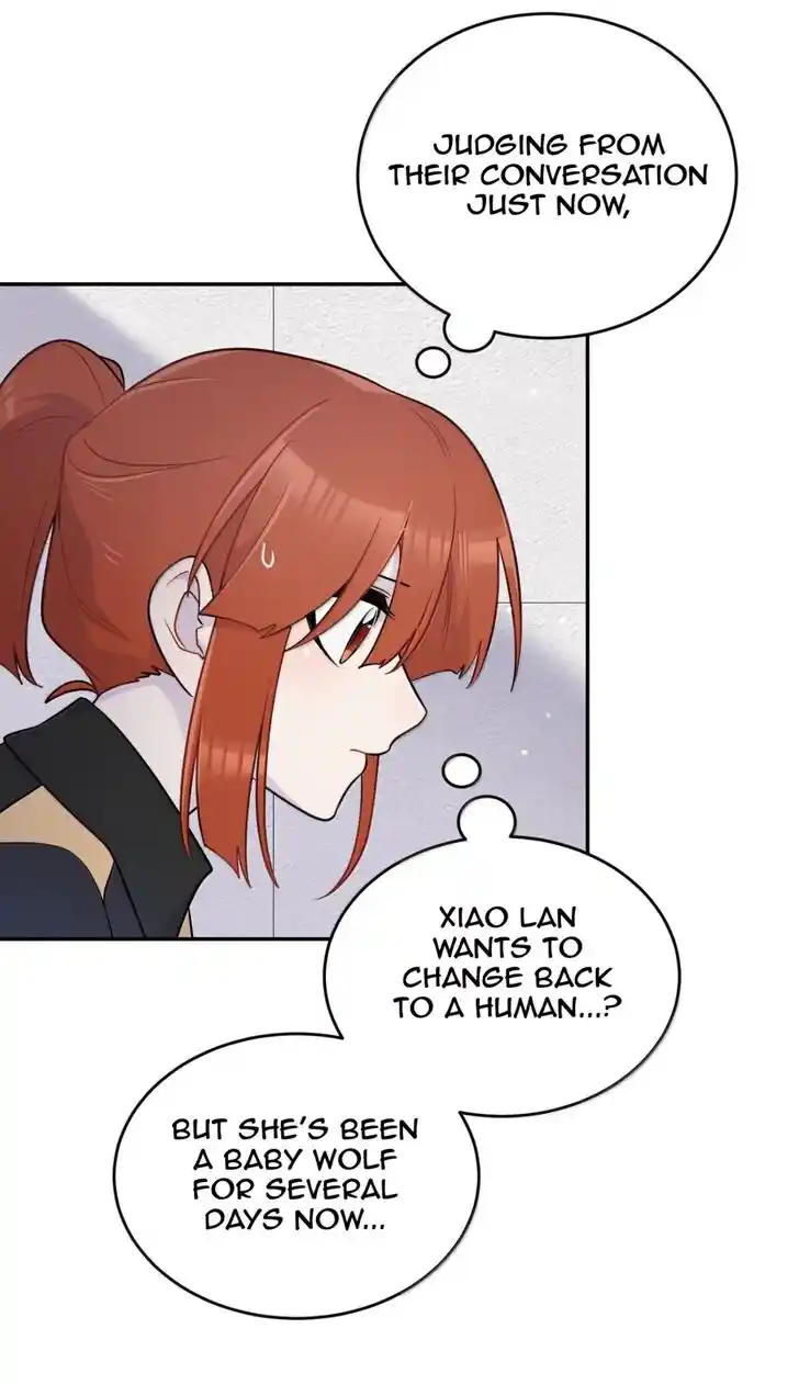 My Food Seems to Be Very Cute Ch.204