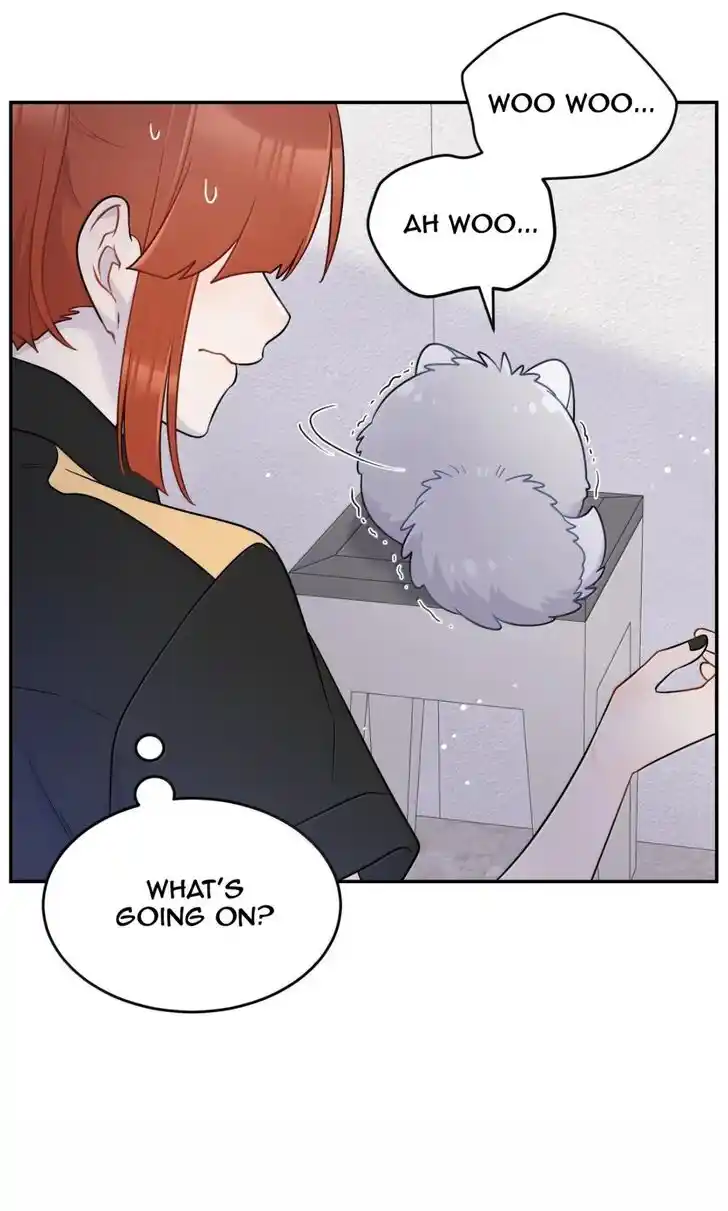 My Food Seems to Be Very Cute Ch.204