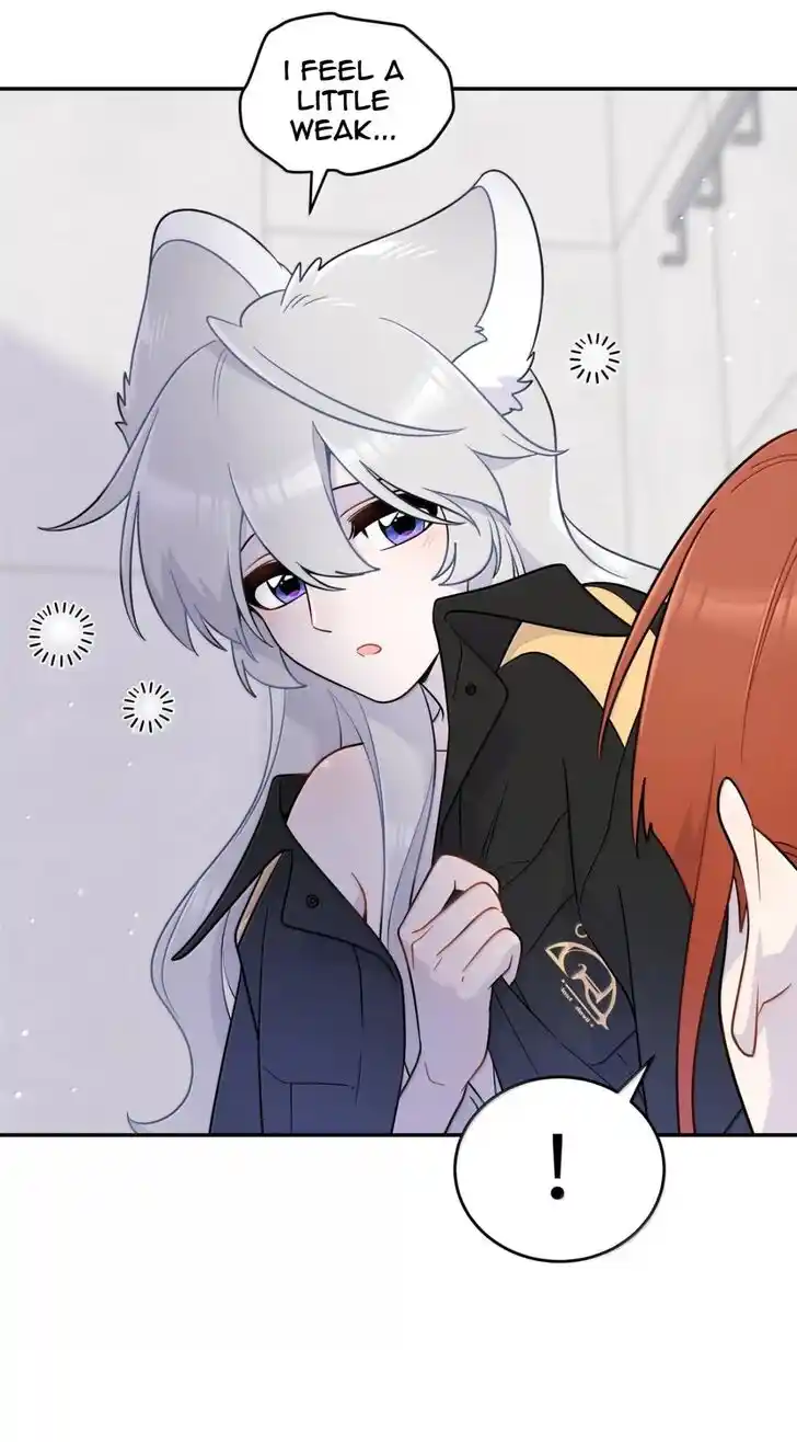 My Food Seems to Be Very Cute Ch.204