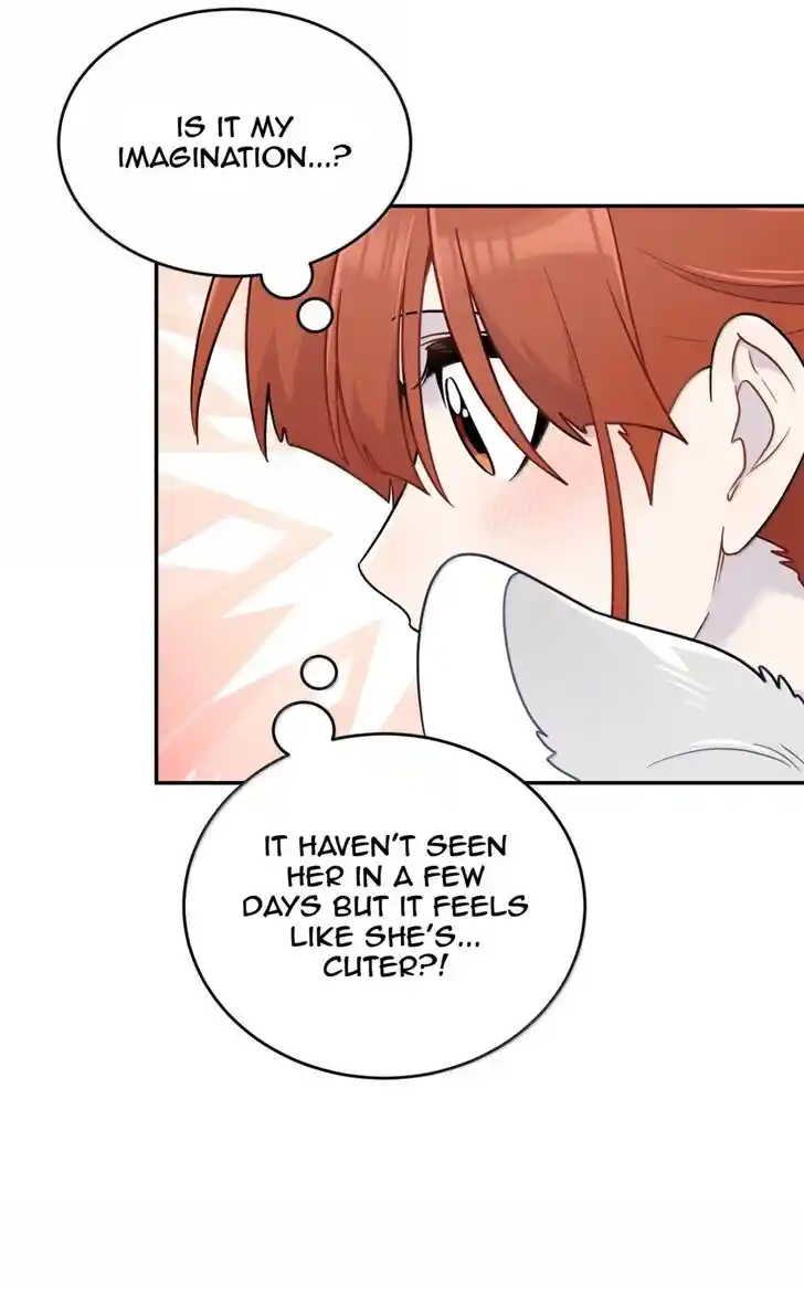 My Food Seems to Be Very Cute Ch.204