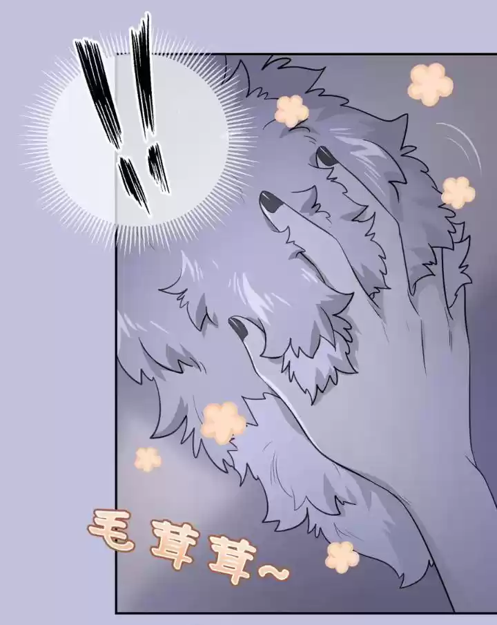 My Food Seems To Be Very Cute Chapter 11