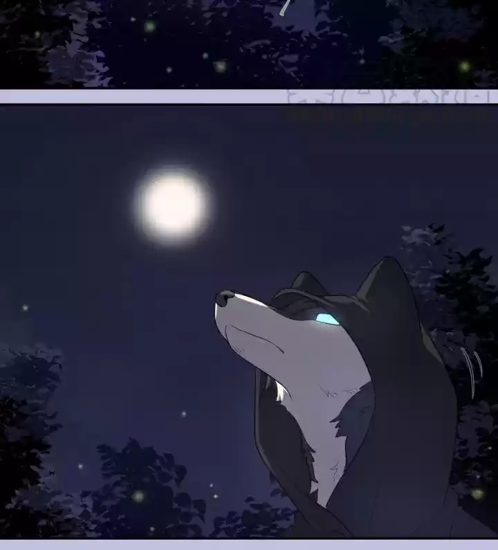 My Food Seems To Be Very Cute Chapter 11