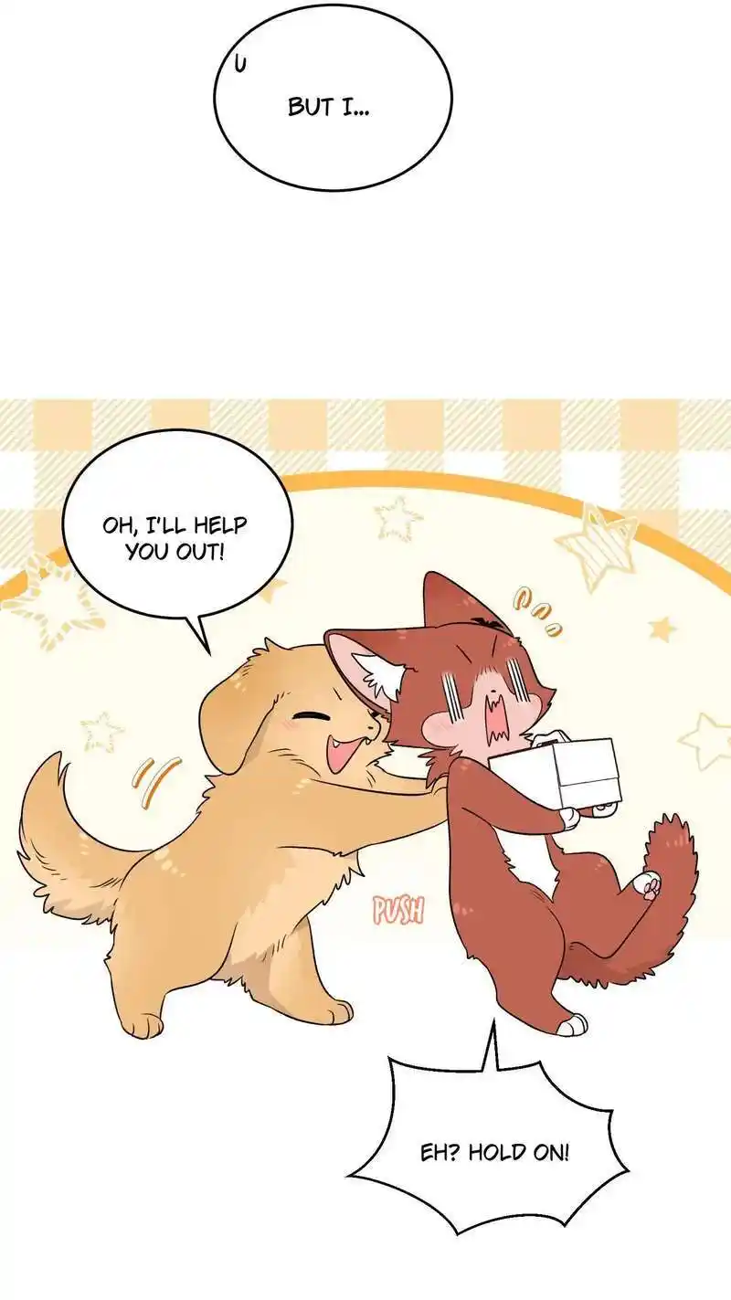 My Food Seems To Be Very Cute Chapter 151