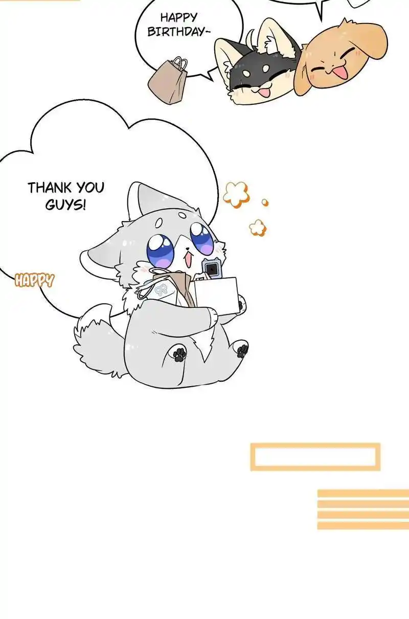 My Food Seems To Be Very Cute Chapter 151