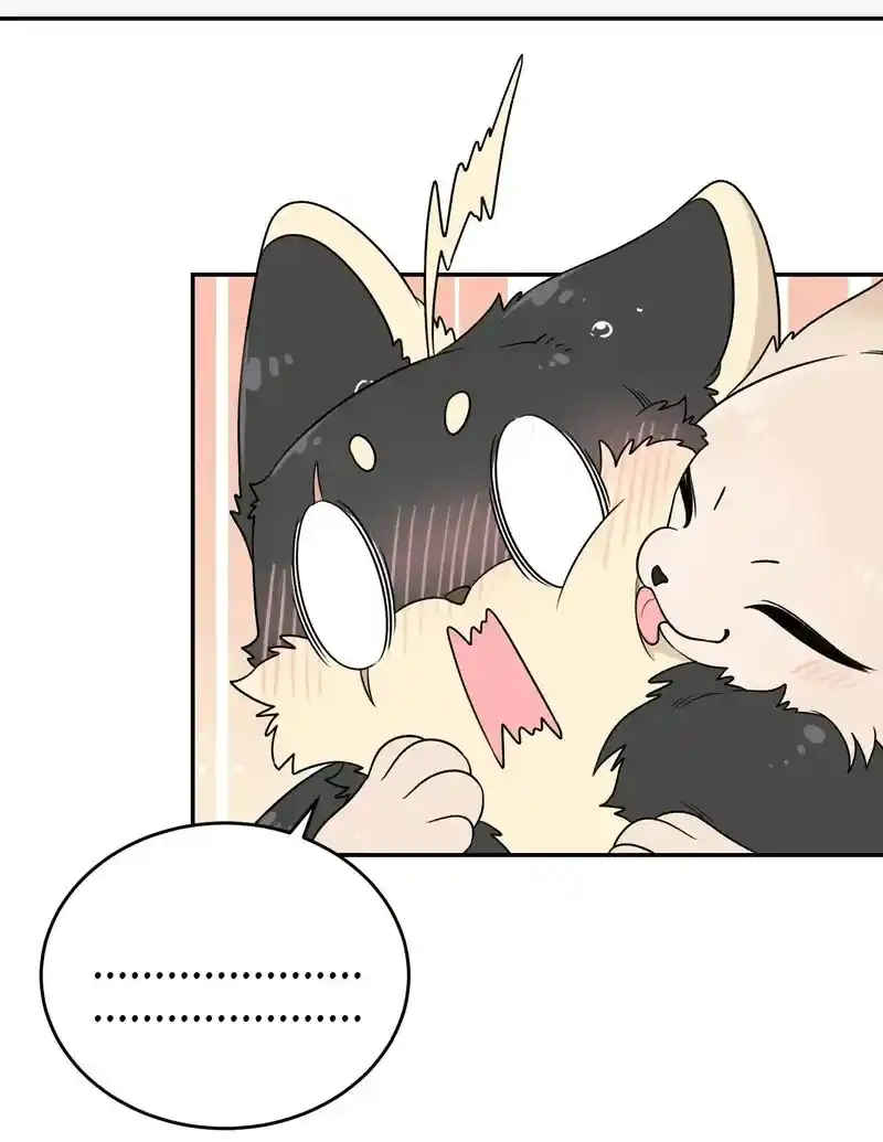 My Food Seems To Be Very Cute Chapter 152