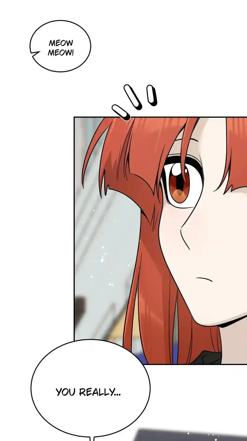 My Food Seems To Be Very Cute Chapter 152