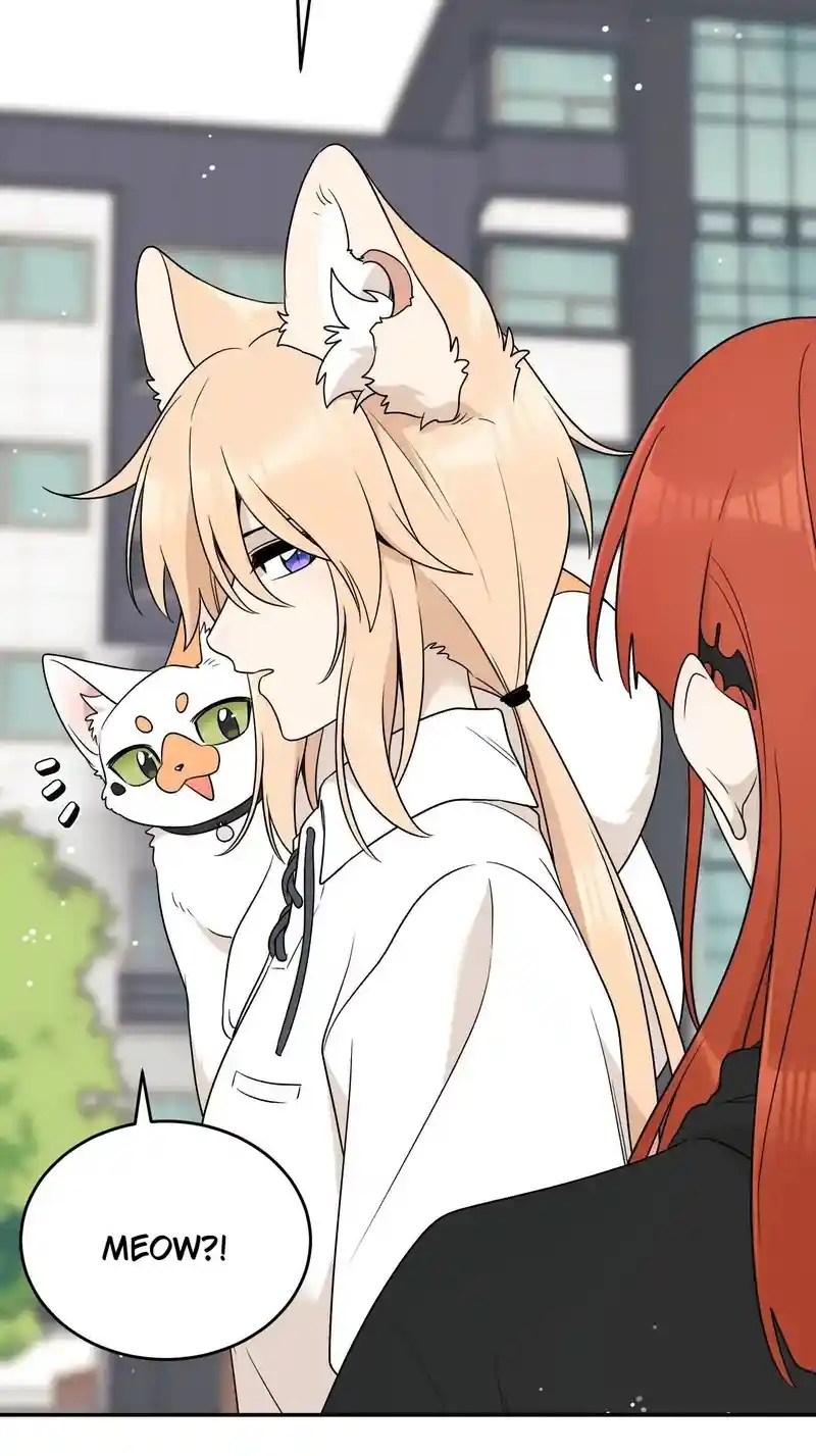 My Food Seems To Be Very Cute Chapter 152