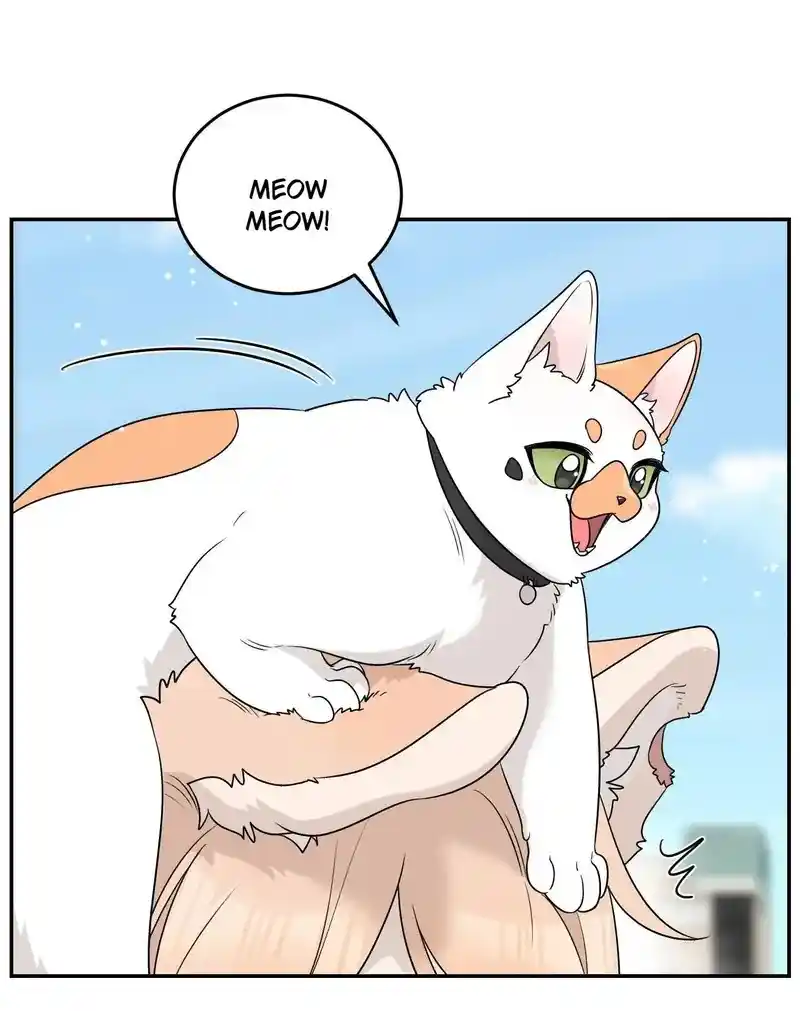 My Food Seems To Be Very Cute Chapter 153