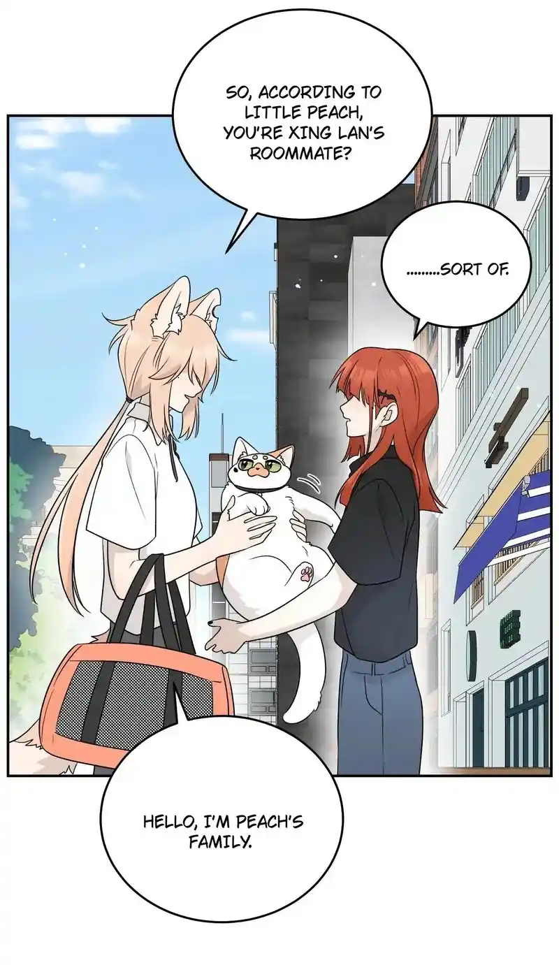 My Food Seems To Be Very Cute Chapter 153