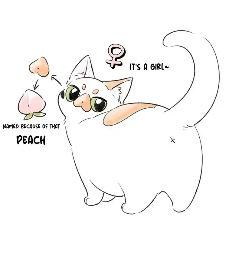 My Food Seems To Be Very Cute Chapter 153