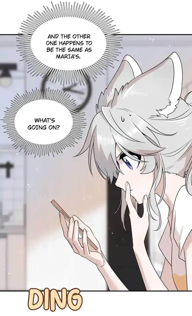 My Food Seems To Be Very Cute Chapter 155