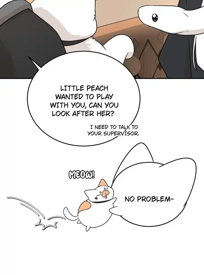 My Food Seems To Be Very Cute Chapter 156