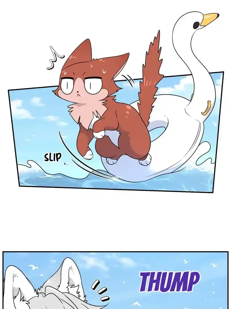 My Food Seems To Be Very Cute Chapter 157