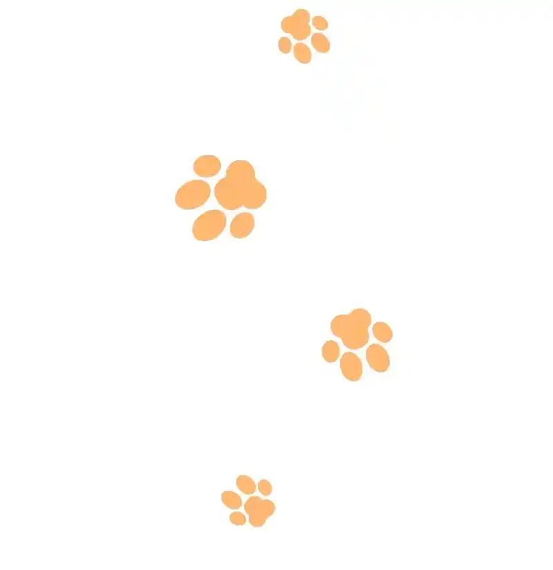 My Food Seems To Be Very Cute Chapter 157