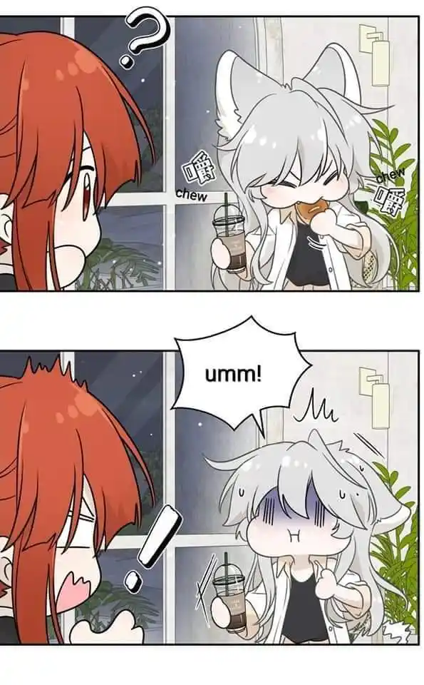 My Food Seems To Be Very Cute Chapter 158