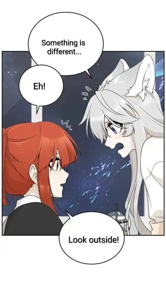 My Food Seems To Be Very Cute Chapter 158