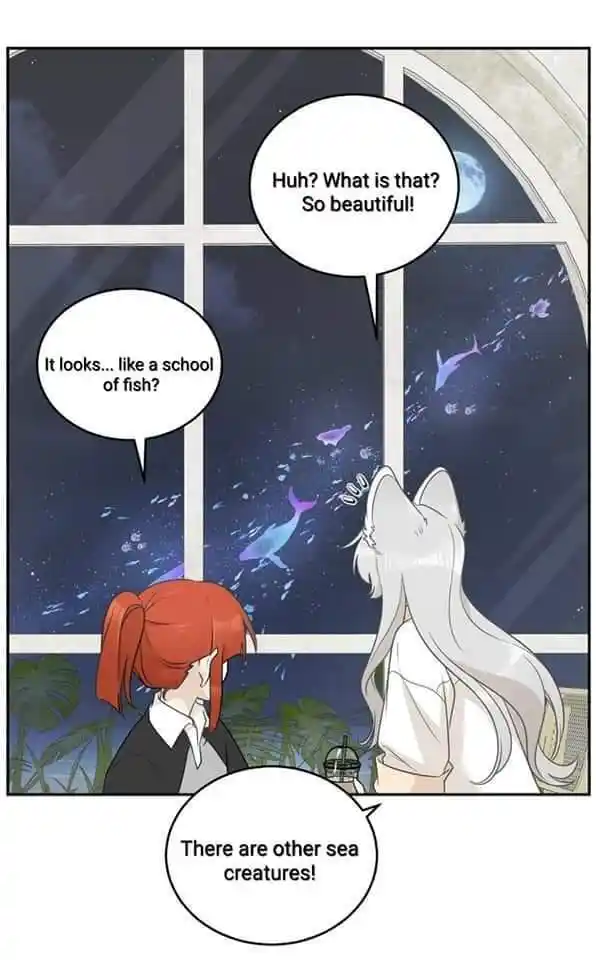 My Food Seems To Be Very Cute Chapter 158