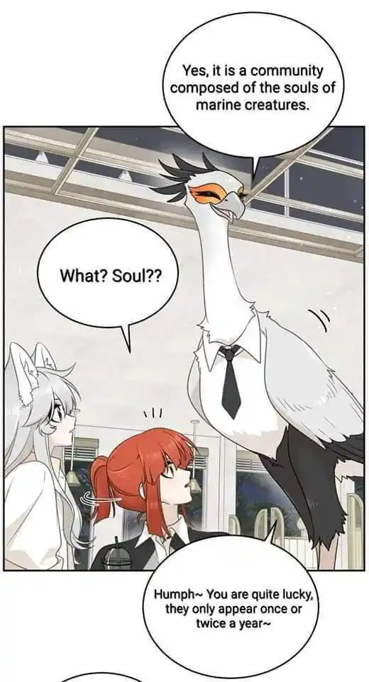 My Food Seems To Be Very Cute Chapter 158