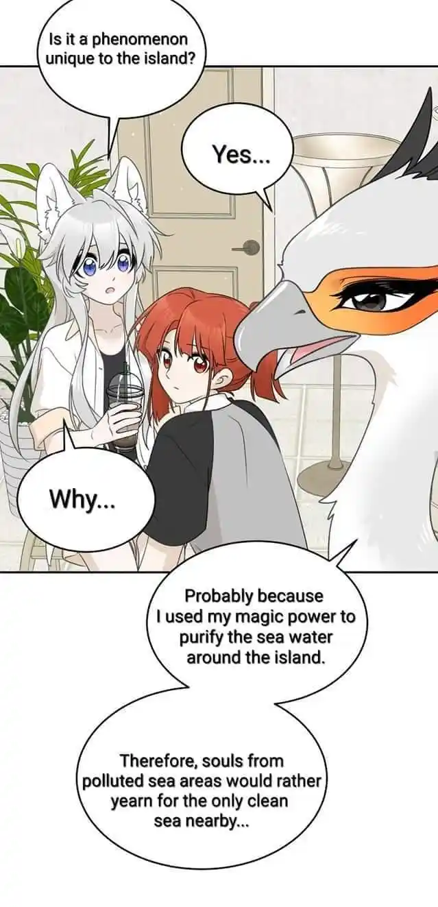 My Food Seems To Be Very Cute Chapter 158