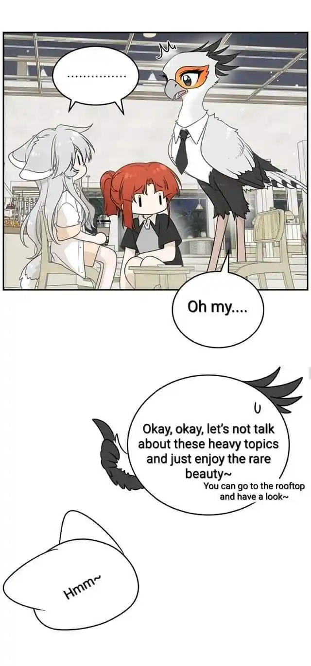 My Food Seems To Be Very Cute Chapter 158