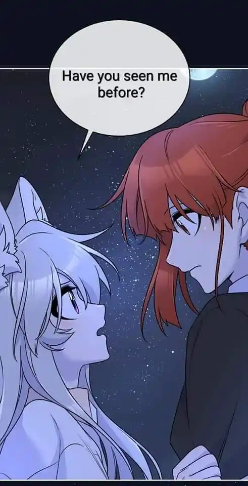 My Food Seems To Be Very Cute Chapter 158