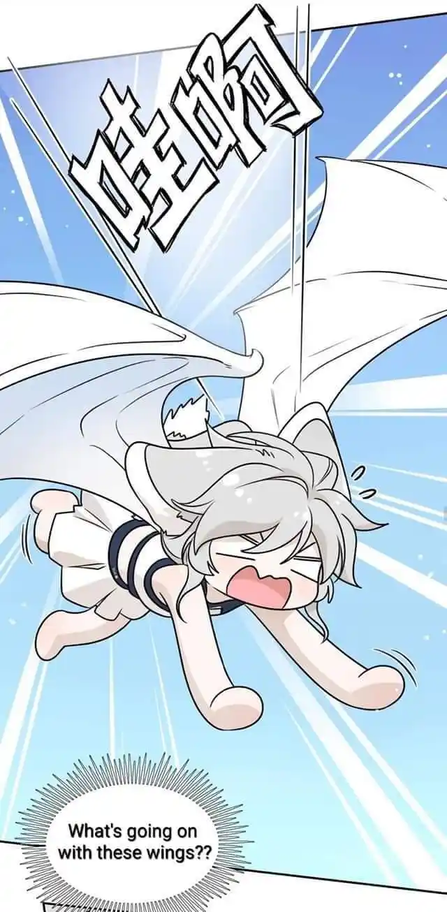 My Food Seems To Be Very Cute Chapter 161