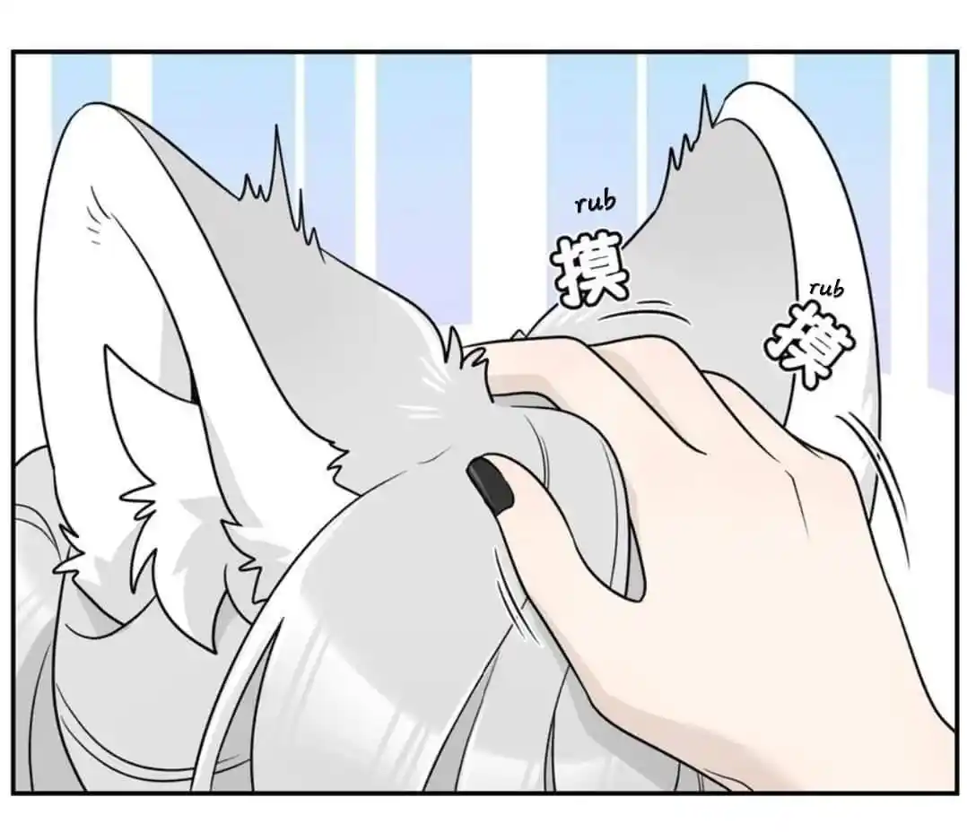 My Food Seems To Be Very Cute Chapter 161