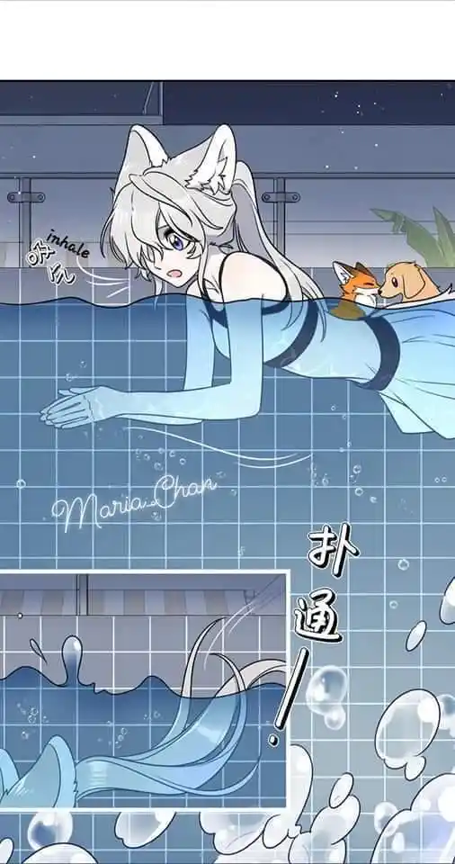 My Food Seems To Be Very Cute Chapter 162