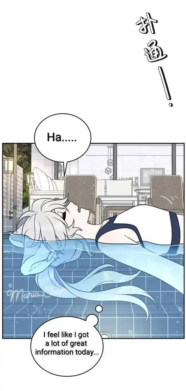 My Food Seems To Be Very Cute Chapter 162