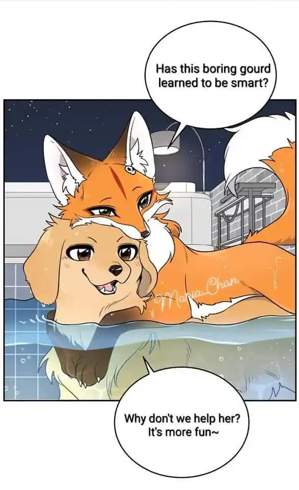 My Food Seems To Be Very Cute Chapter 162