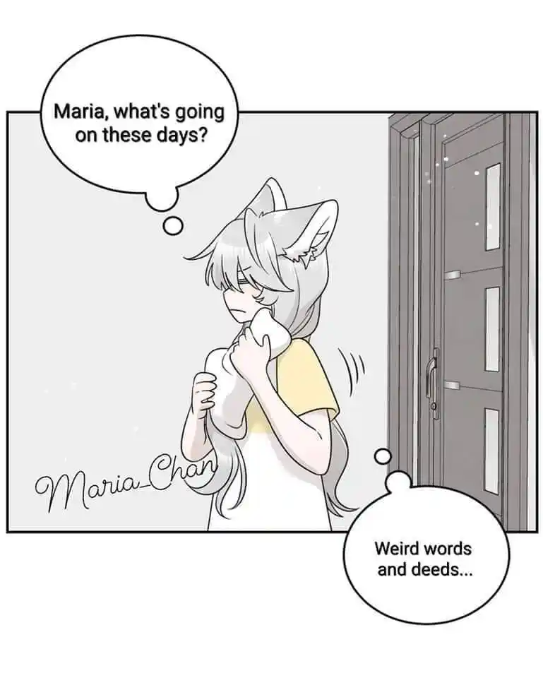 My Food Seems To Be Very Cute Chapter 162