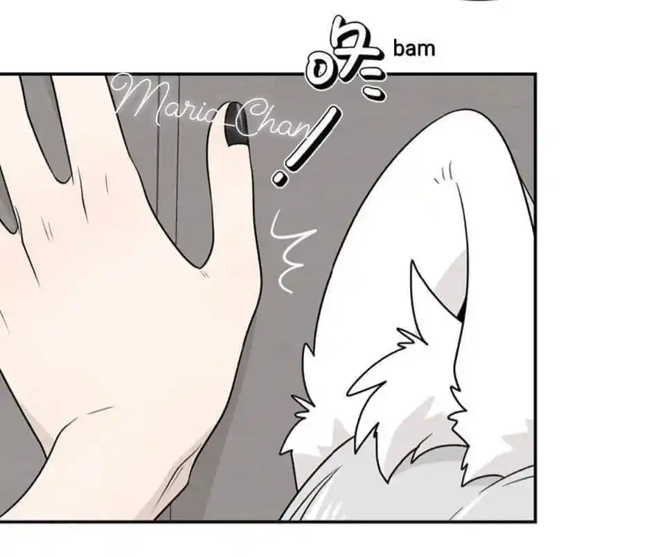 My Food Seems To Be Very Cute Chapter 162