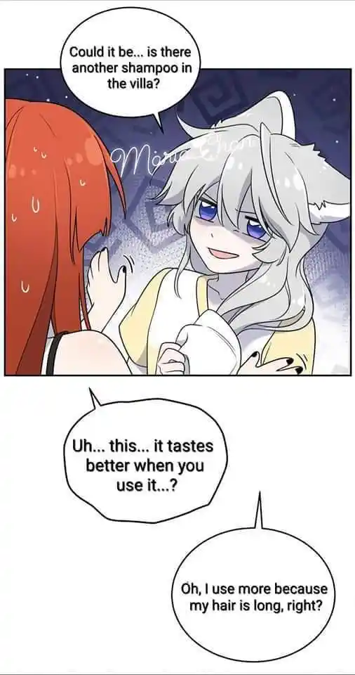 My Food Seems To Be Very Cute Chapter 162