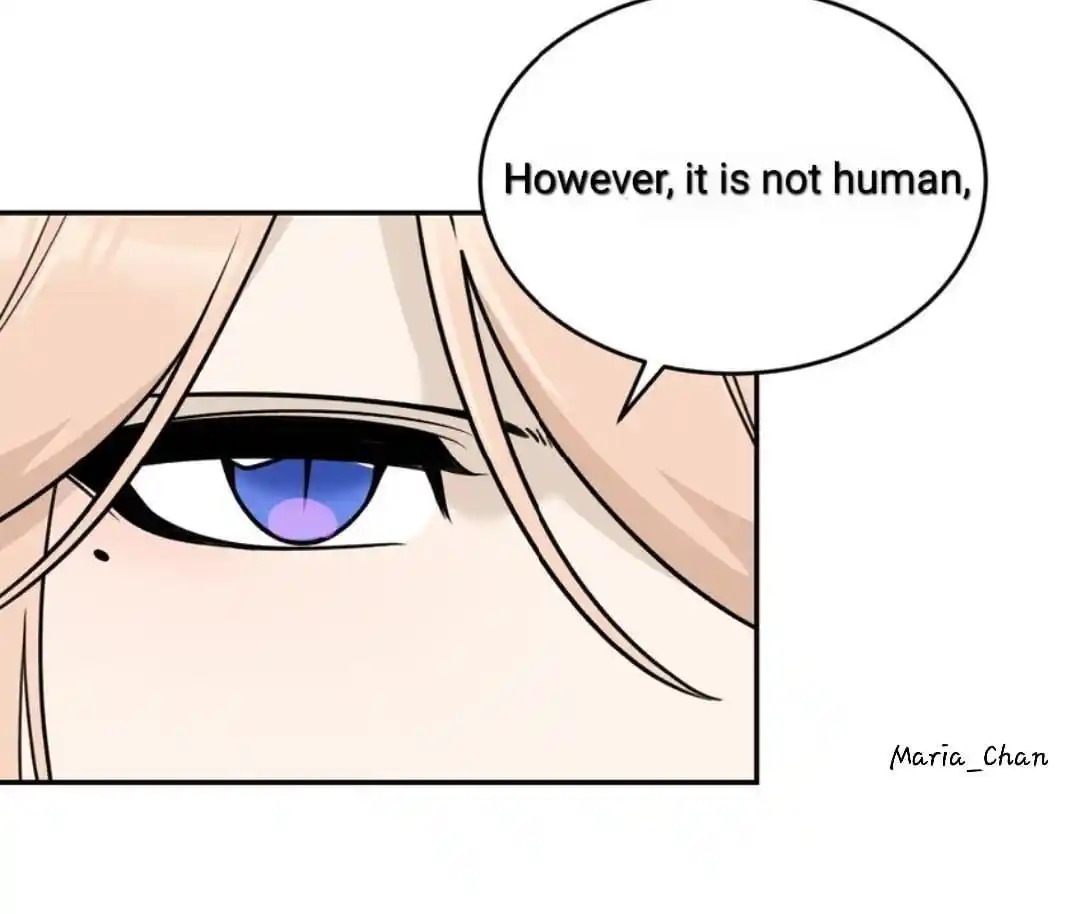 My Food Seems To Be Very Cute Chapter 164