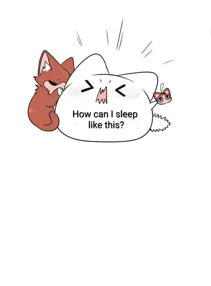 My Food Seems To Be Very Cute Chapter 167