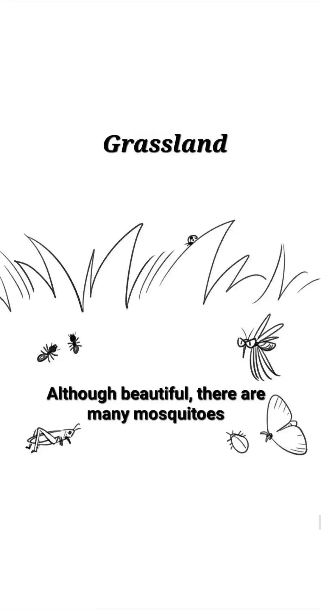 My Food Seems To Be Very Cute Chapter 175